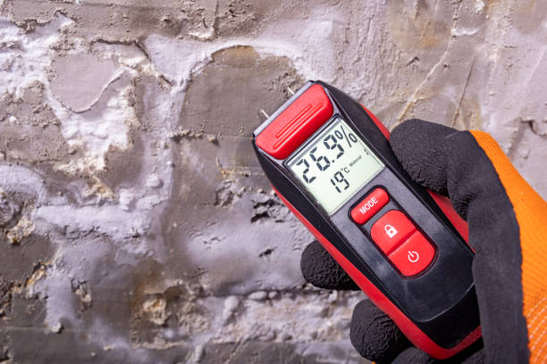 Best Professional Mold Removal  in Golden Grove, SC