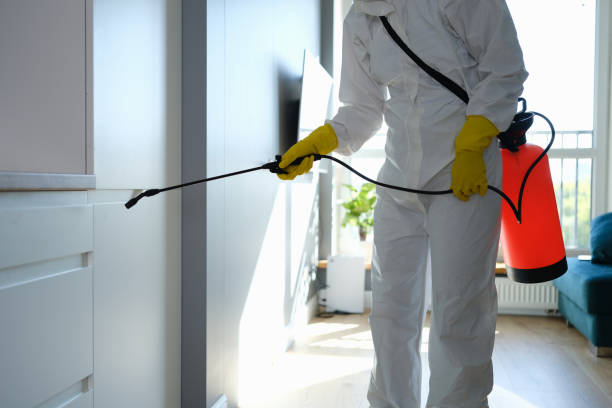 Best Emergency Mold Removal  in Golden Grove, SC