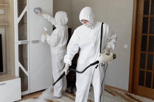 Mold Removal Process in Golden Grove, SC