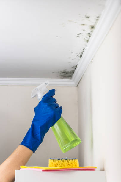 Best Office Mold Removal Services  in Golden Grove, SC